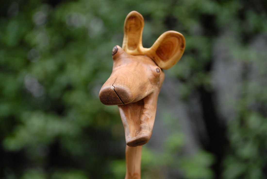 Sticks Playing Dog